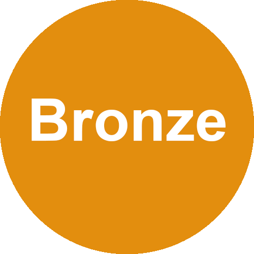 Bronze - 1 Month